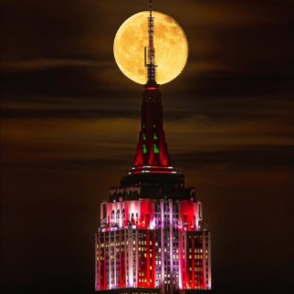 Art Cafe 18+ 💦💦