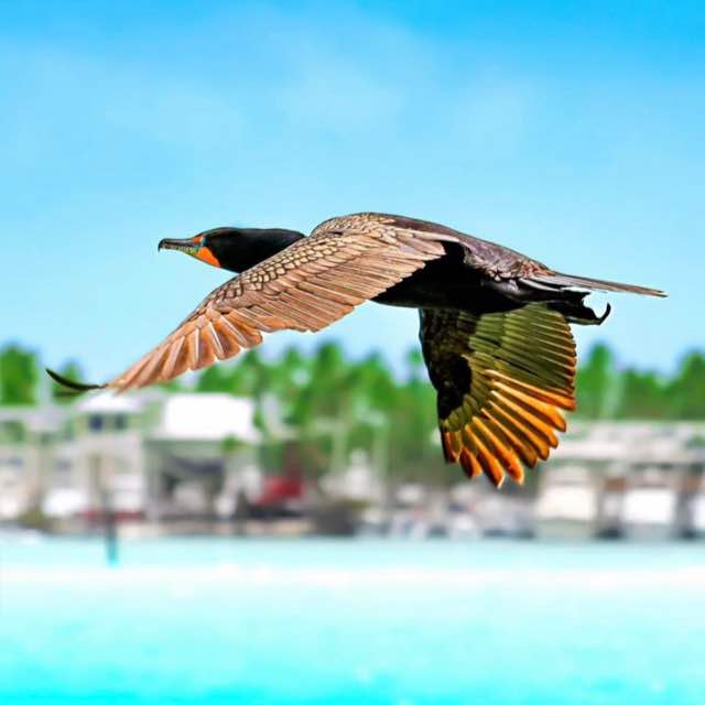 💯ASIAN SPECIAL💯🈳🈴㊗㊙🉐