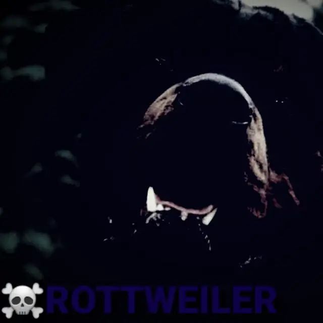 Captain Signals Students WhatsApp Group in United States