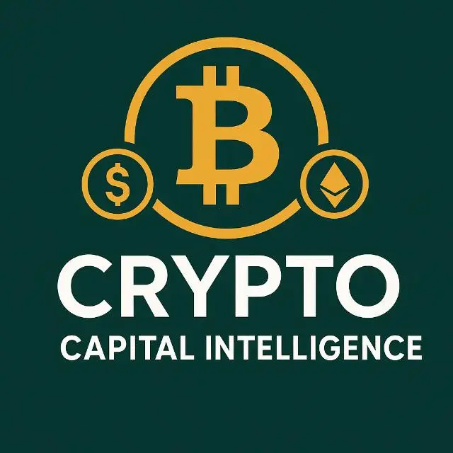Crypto Capital Intelligence