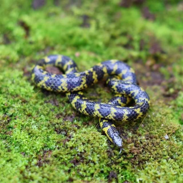 Girls Friendship Circle