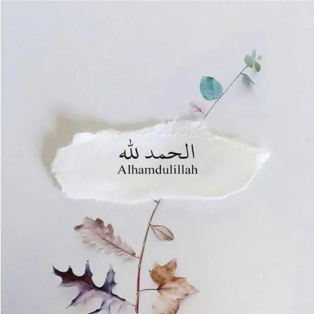 Online Earning Platform