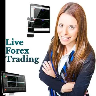Online Forex Trading Global WhatsApp Group in United States