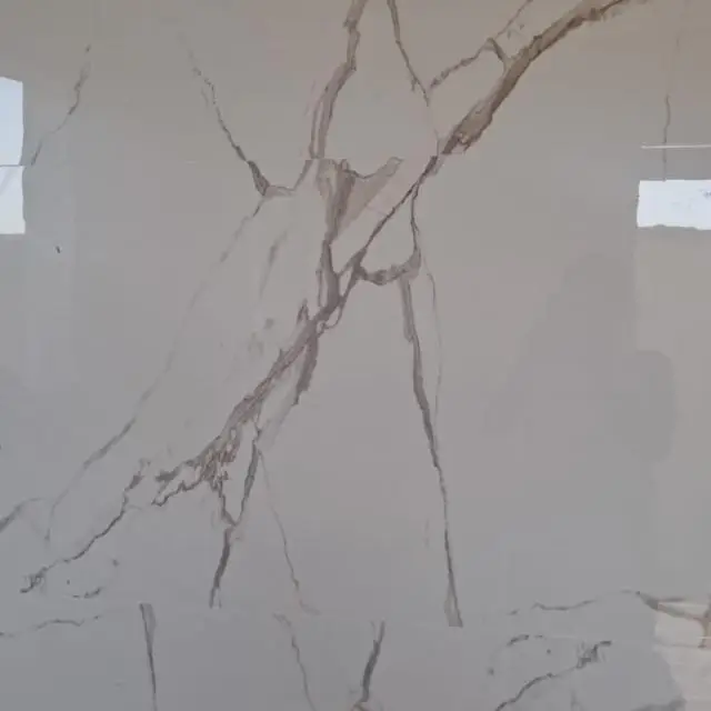 Paid Service Connect 💸 WhatsApp Group in Global