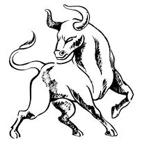 The Big Bull Jhunjhun